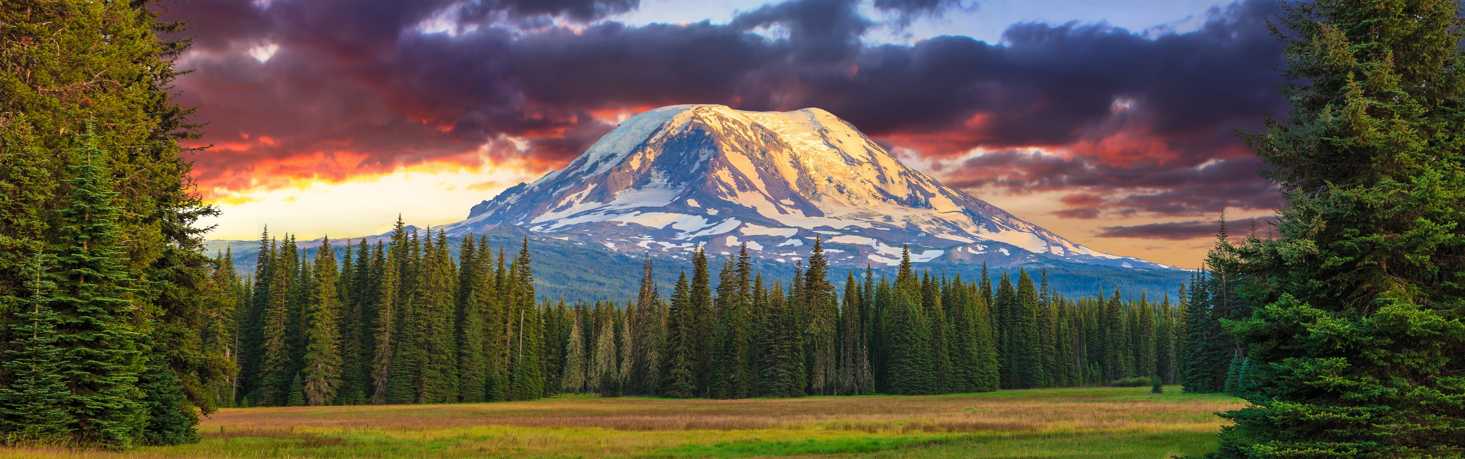 mount st. helens in washington state
